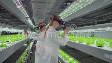 现代农场科学家使用虚拟现实眼镜是植物基因改造的过程